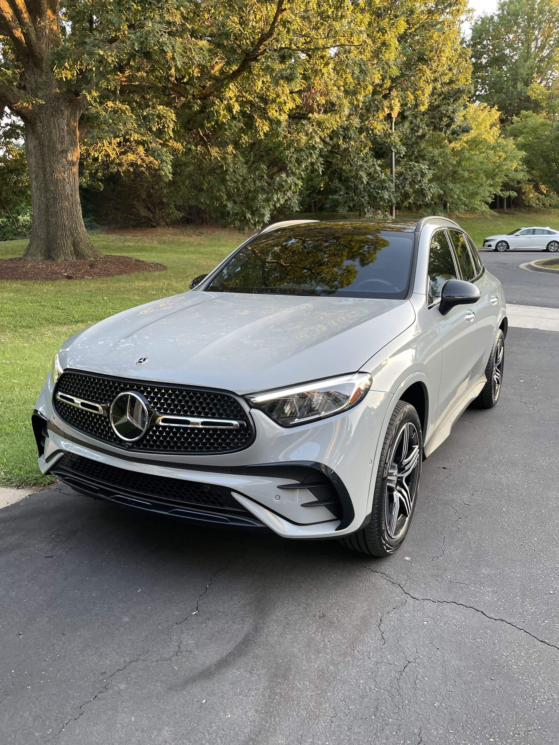 Mercedes side view tint