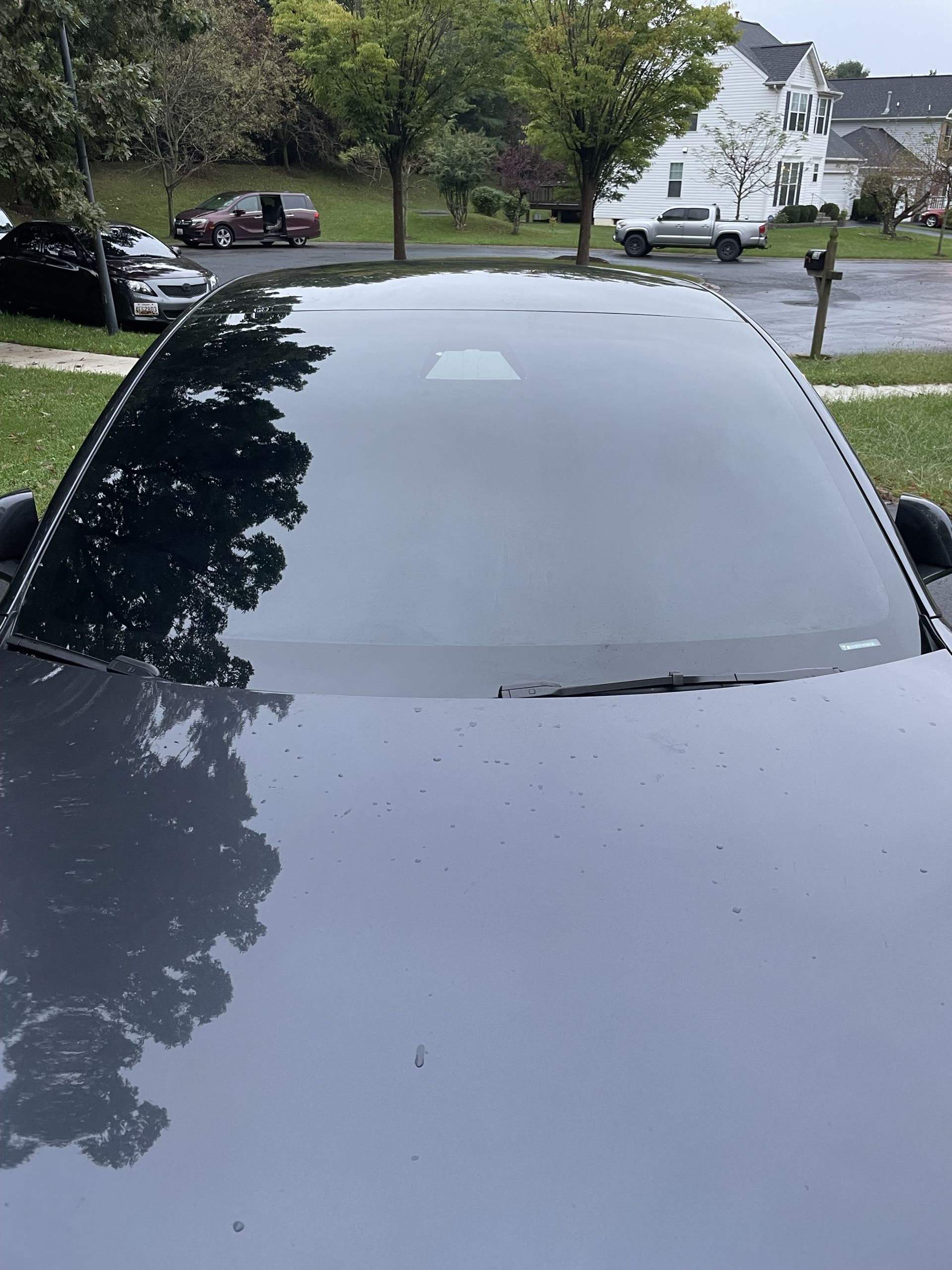 Luxury vehicle tinting detail