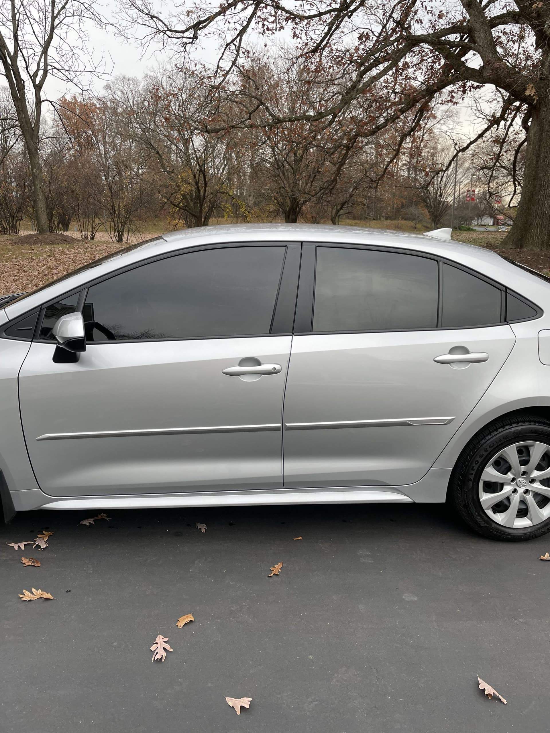 Toyota Corolla tint back view