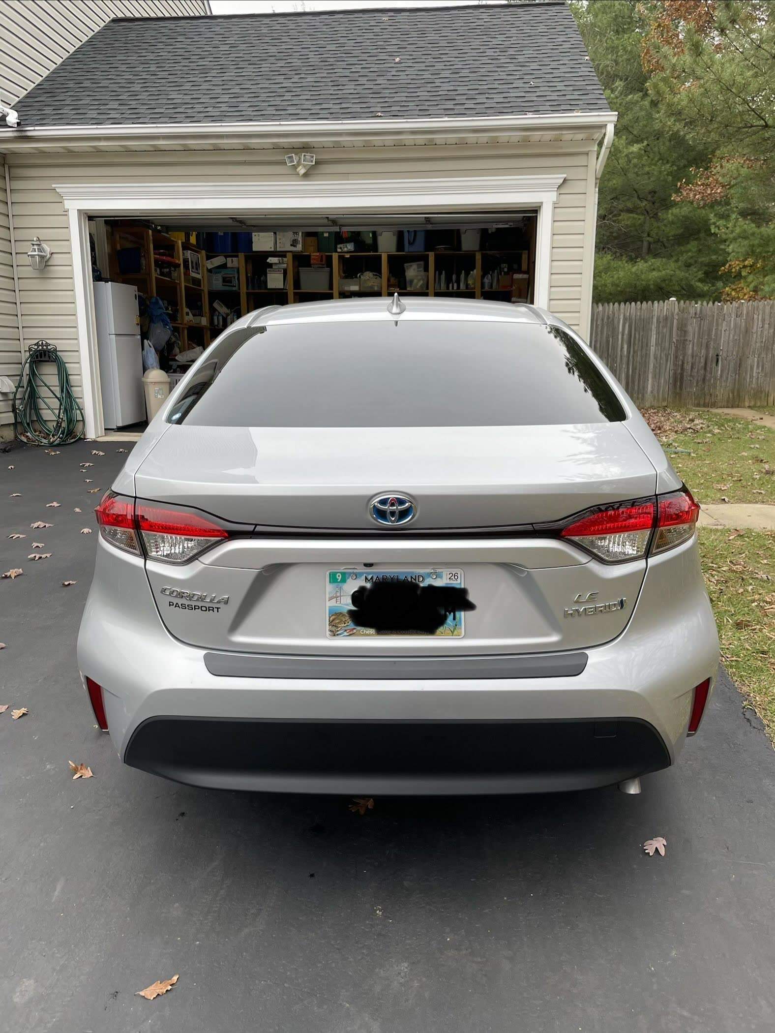 Toyota Corolla tint side view